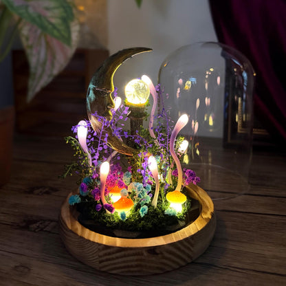Crescent Moon Night Light